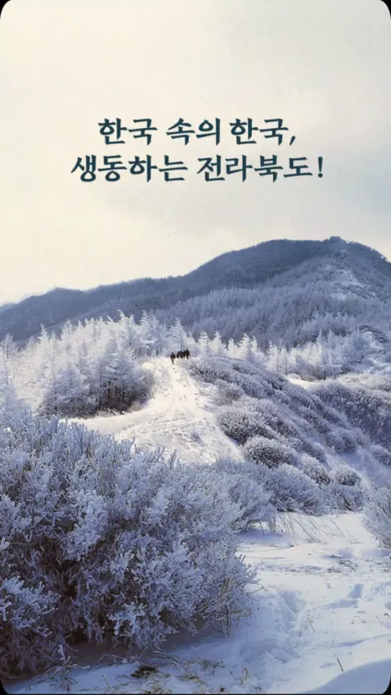 전라BOOK도应用截图