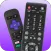 Universal TV Remote Control