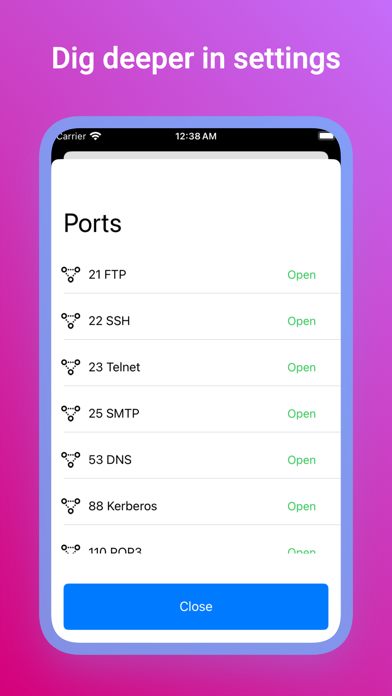 Network Check Screenshots