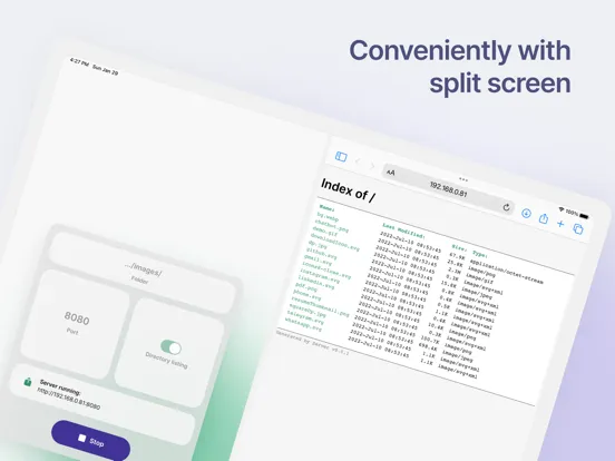 Server: Host Files Locally iPad  سکرین شاٹس