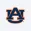 Auburn Tigers