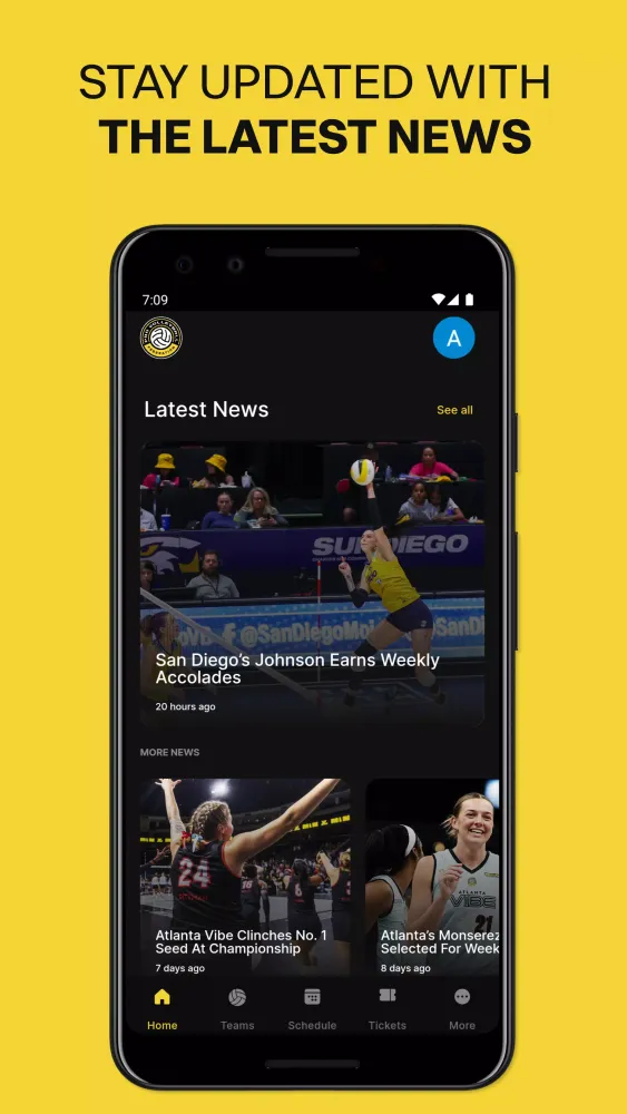Pro Volleyball Federation Screenshots