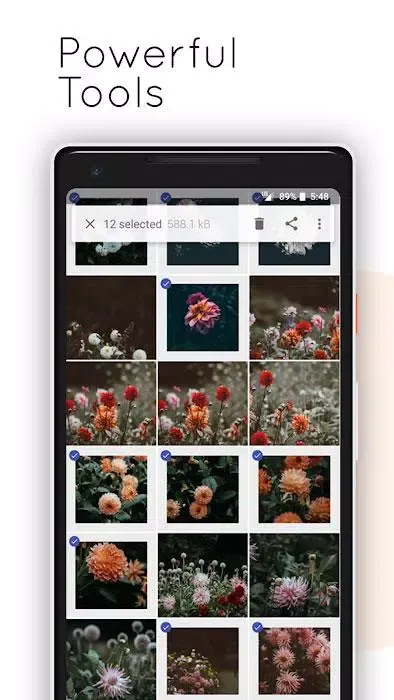 Gallery 2019 Screenshots