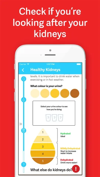 Capturas de pantalla de My Kidneys, My Health handbook