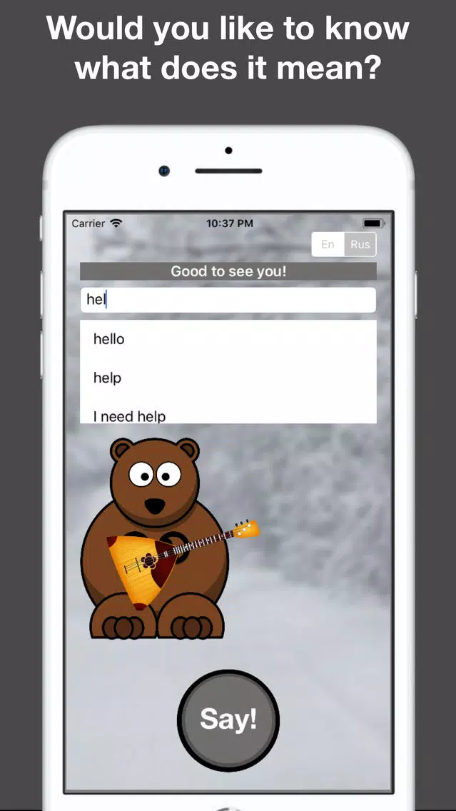 What does the Russian say? Screenshots