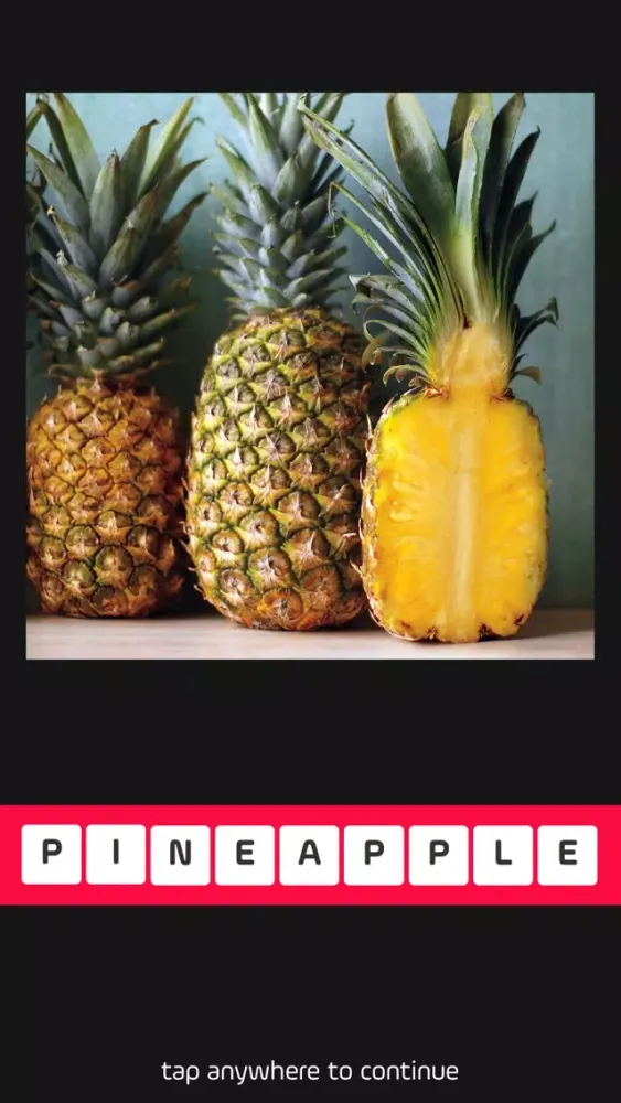 Expose and Solve 스크린샷