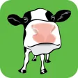 Discover Dairy Discover Dairy