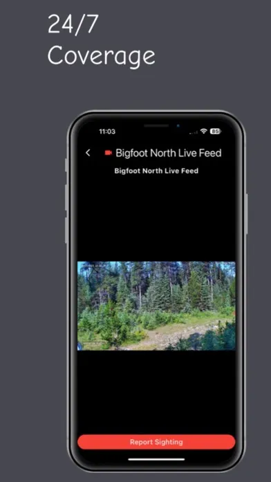 Capturas de pantalla de Discovering Bigfoot