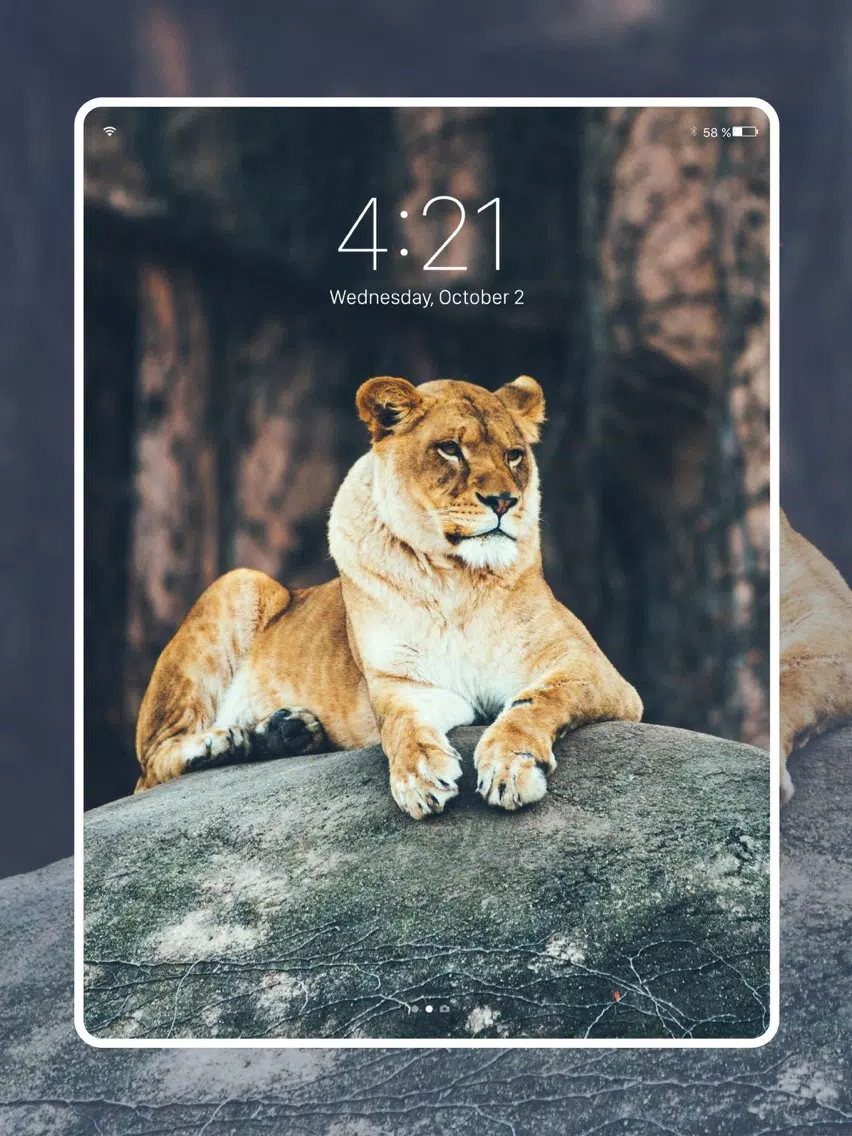 Fancy Wallpapers & Backgrounds iPad  Screenshots