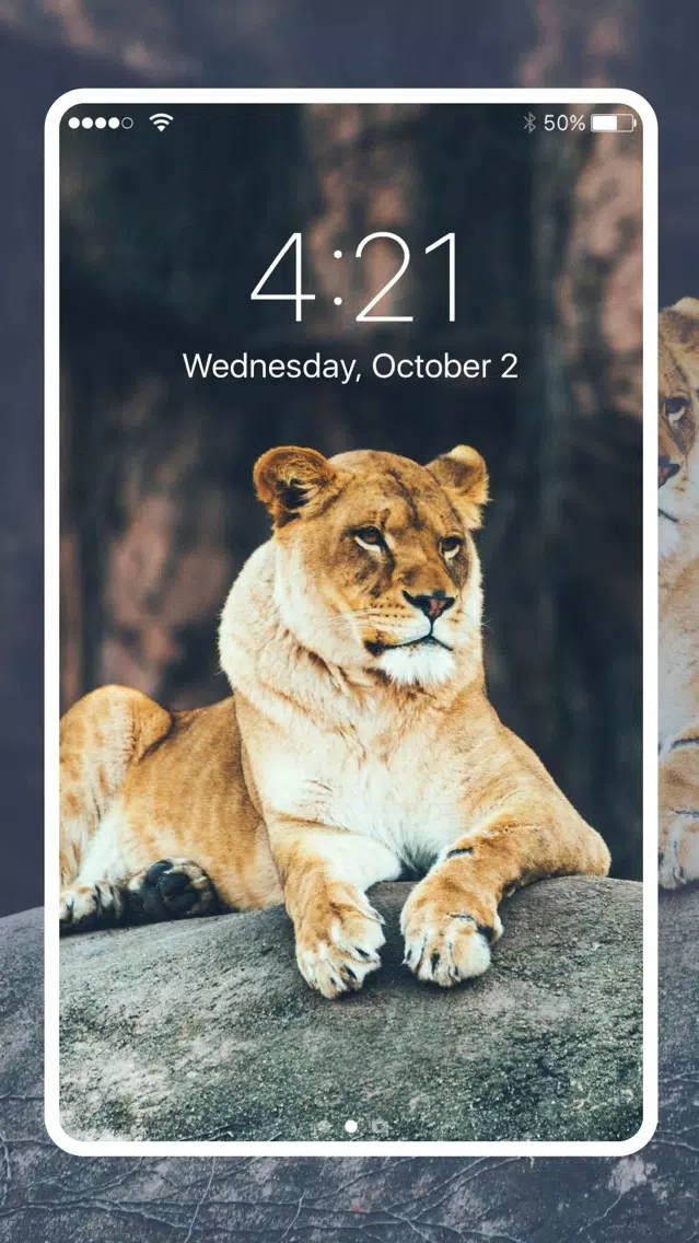 Fancy Wallpapers & Backgrounds Screenshots