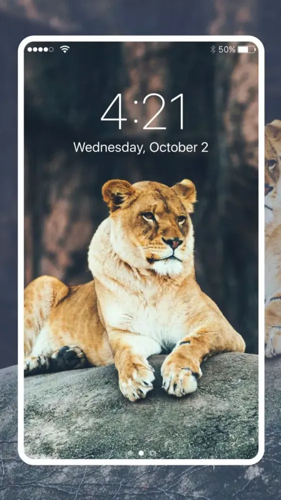 Screenshot di Fancy Wallpapers & Backgrounds