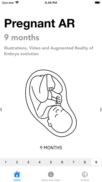 Pregnant AR Screenshots