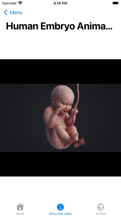 Pregnant AR Screenshots