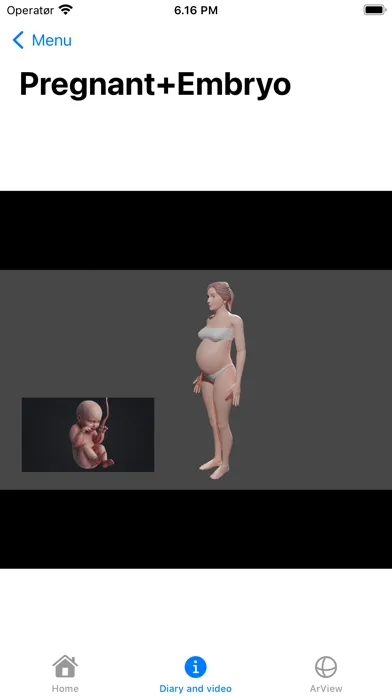 Pregnant AR Screenshots