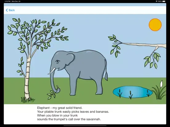 Animals in Africa - Math App iPad 應用截圖