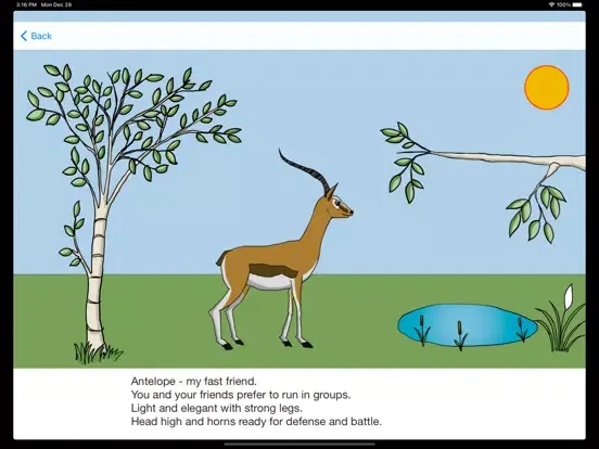 Animals in Africa - Math App iPad 應用截圖