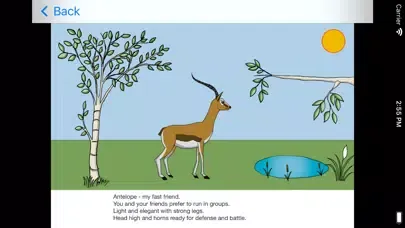 Animals in Africa - Math App應用截圖