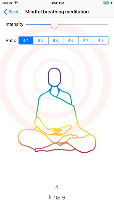 Mind your breathing應用截圖