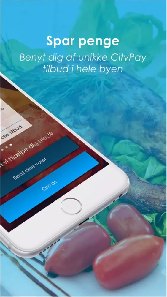 CityPay Screenshots