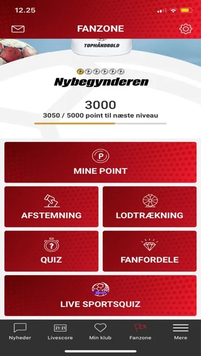Tophåndbold应用截图