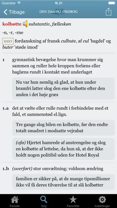 Скриншоты Den Danske Ordbog (DDO)