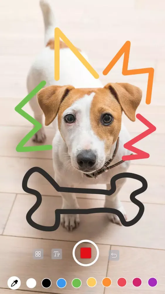 Draw360 - AR Camera سکرین شاٹس