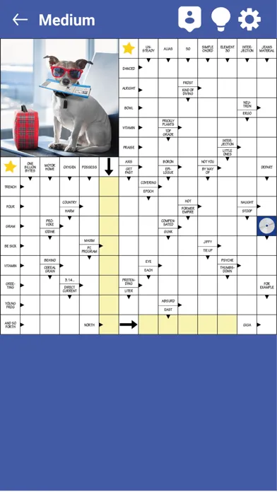 Your Daily Crossword Puzzles Screenshots