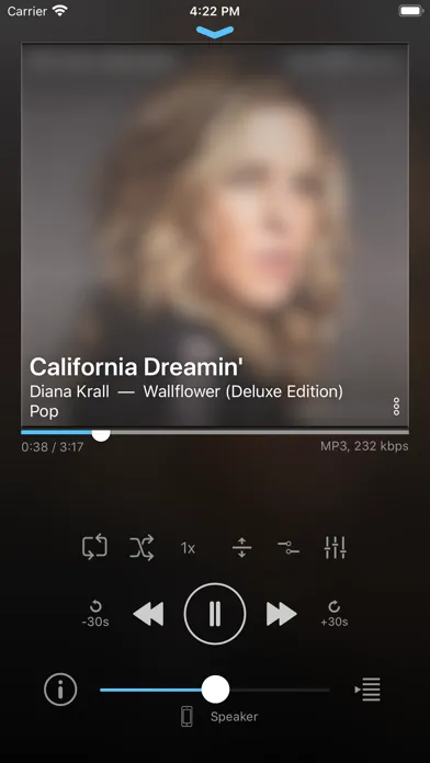 play:Sub Music Streamer 스크린샷