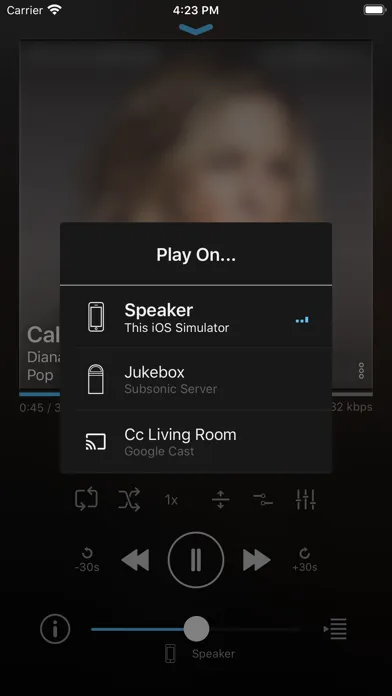 play:Sub Music Streamer 스크린샷