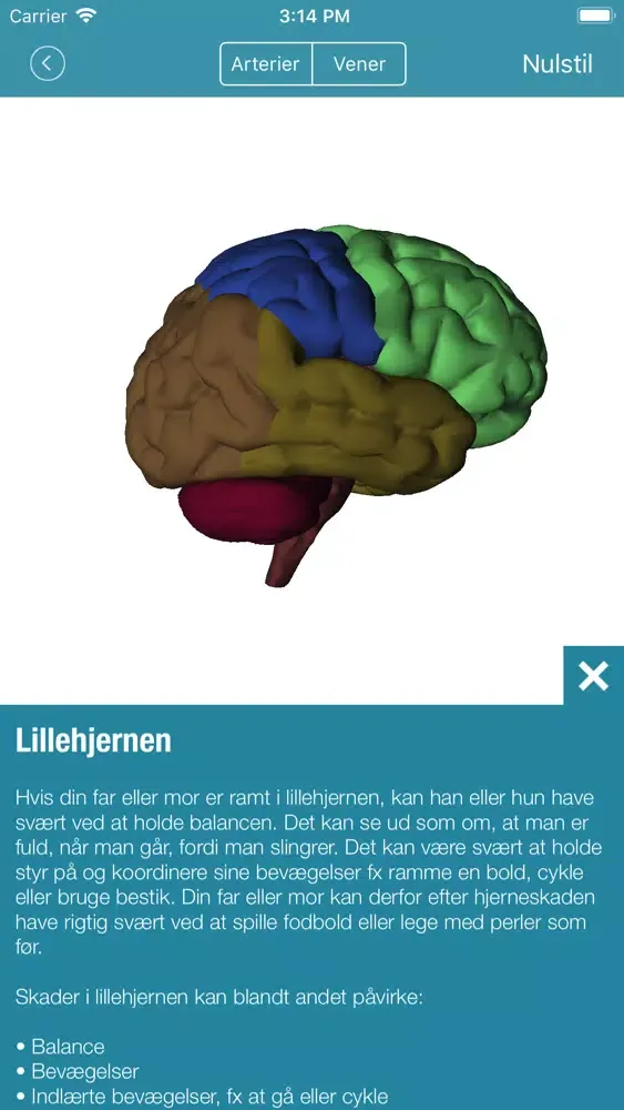 تصاویر HjerneHjælper App