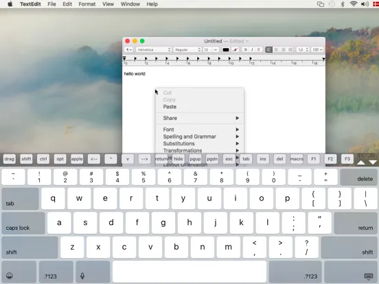 Скриншоты Mocha VNC Lite iPad 