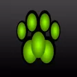 Cat Clicker Training