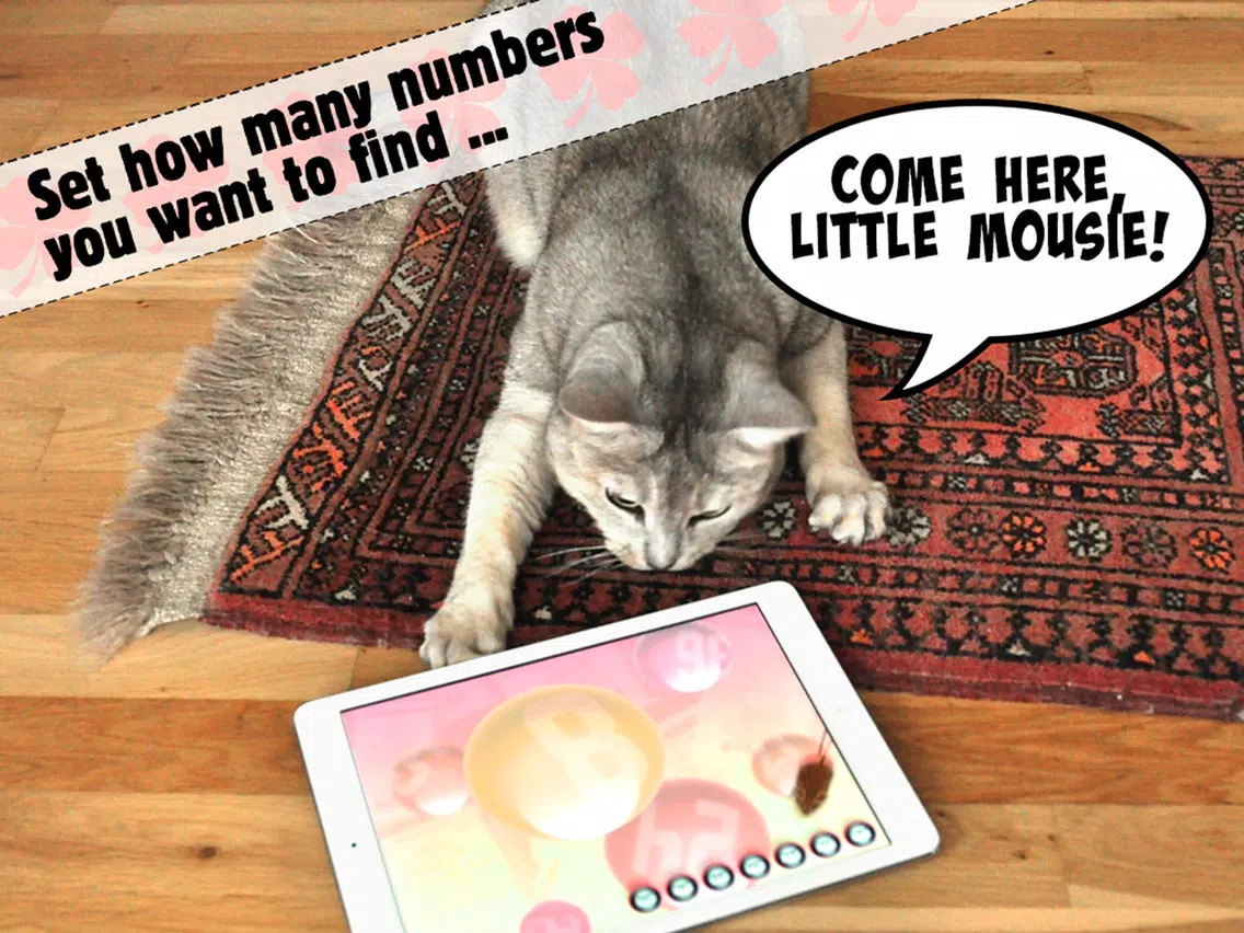 Lucky Cat Lottery Numbers - Catch Game For Cats iPad 应用截图