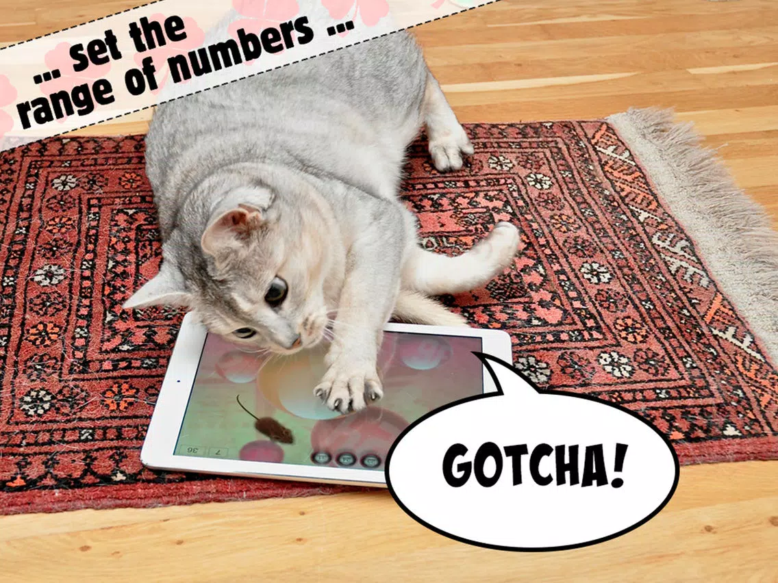 Lucky Cat Lottery Numbers - Catch Game For Cats iPad 应用截图