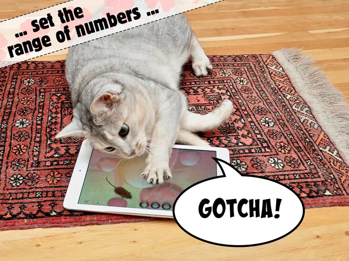 Lucky Cat Lottery Numbers - Catch Game For Cats iPad  스크린샷