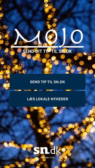 Send dit tip til sn.dk应用截图