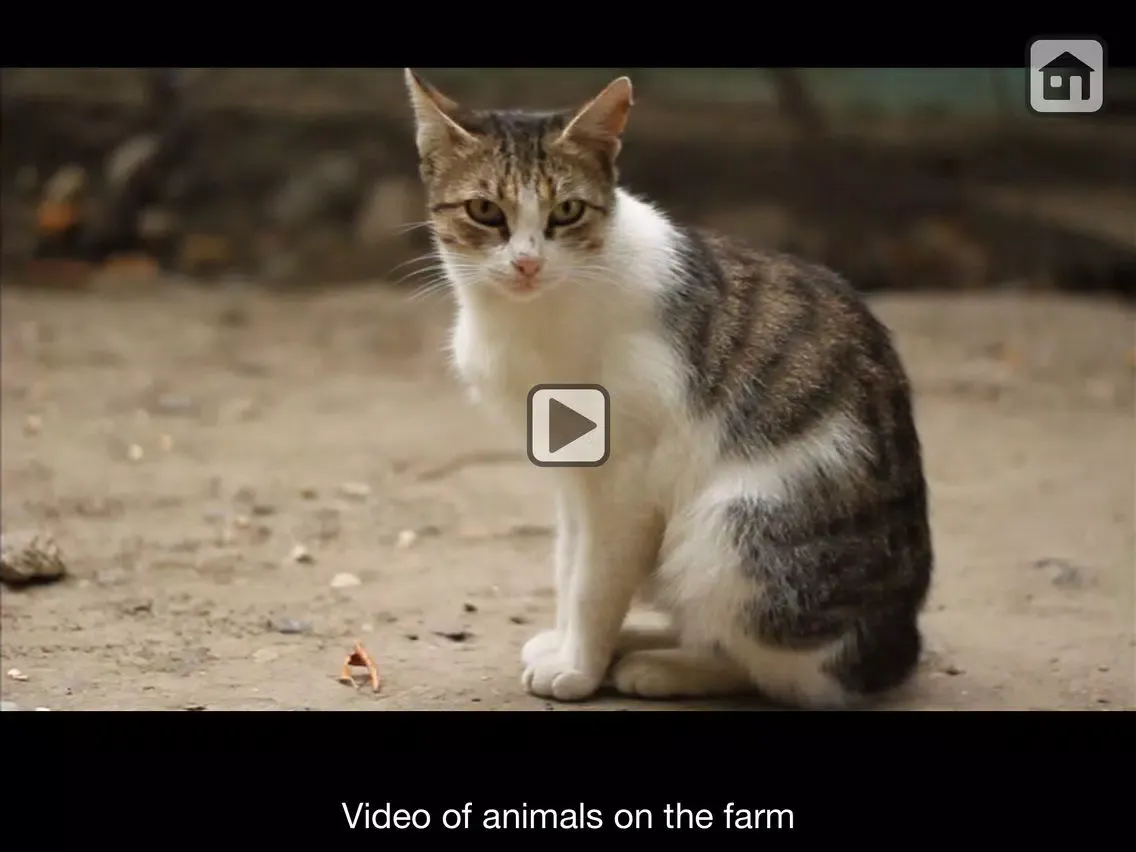 100 Things: Farm Animals – Video & Picture Book for Toddlers iPad  Screenshots