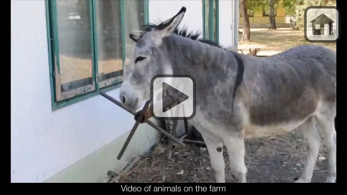 100 Things: Farm Animals – Video & Picture Book for Toddlers Screenshots