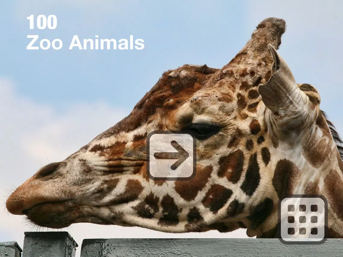 Ảnh chụp màn hình của 100 Things: Zoo Animals - Video & Picture Book for Toddlers iPad 