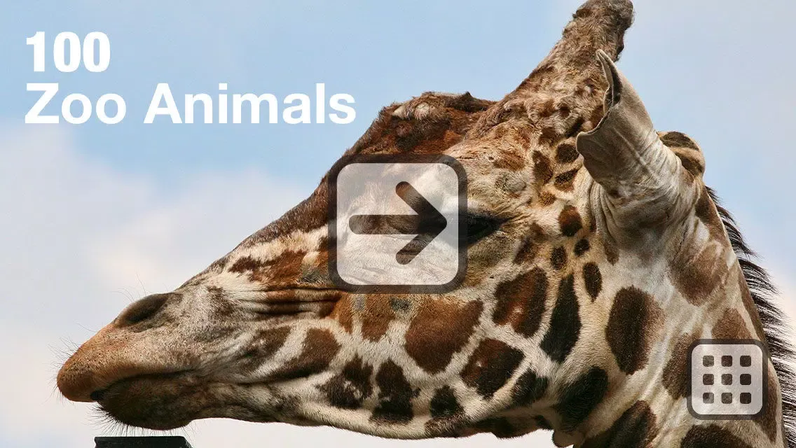 Ảnh chụp màn hình của 100 Things: Zoo Animals - Video & Picture Book for Toddlers