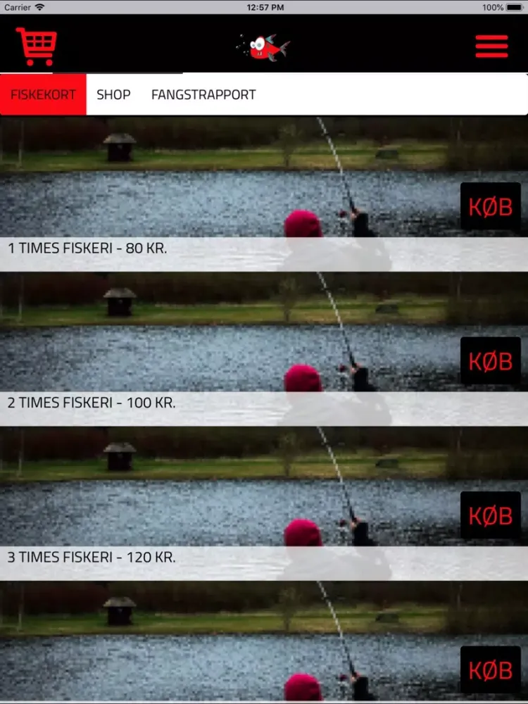 Скриншоты Vesthimmerlands Put and Take iPad 