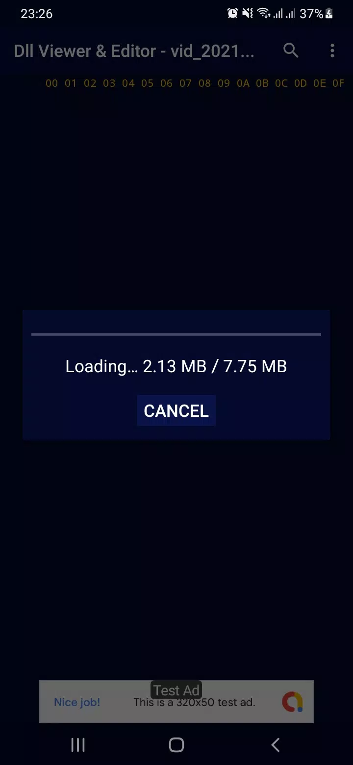 DLL File Viewer & Editor Screenshots2