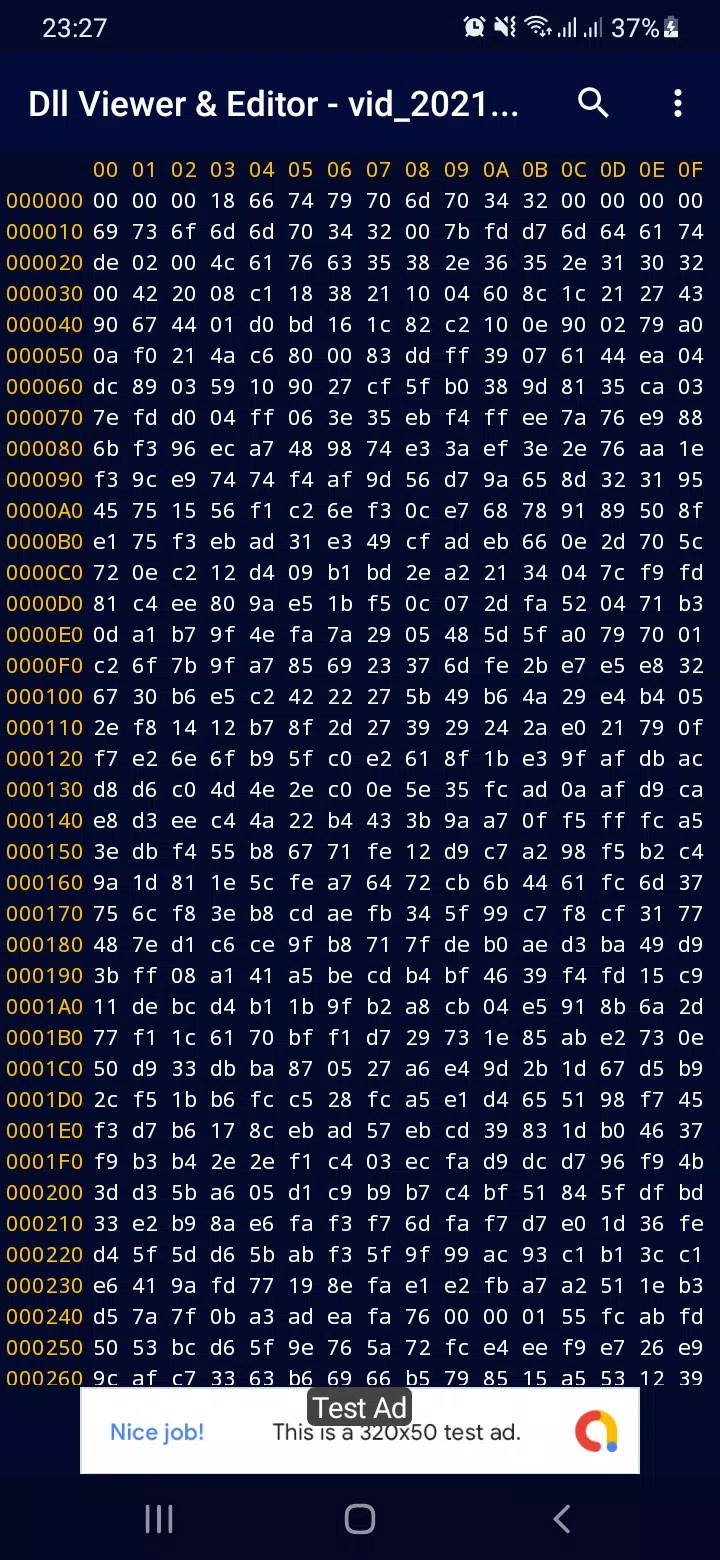 DLL File Viewer & Editor Screenshots3