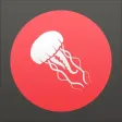 Meduse