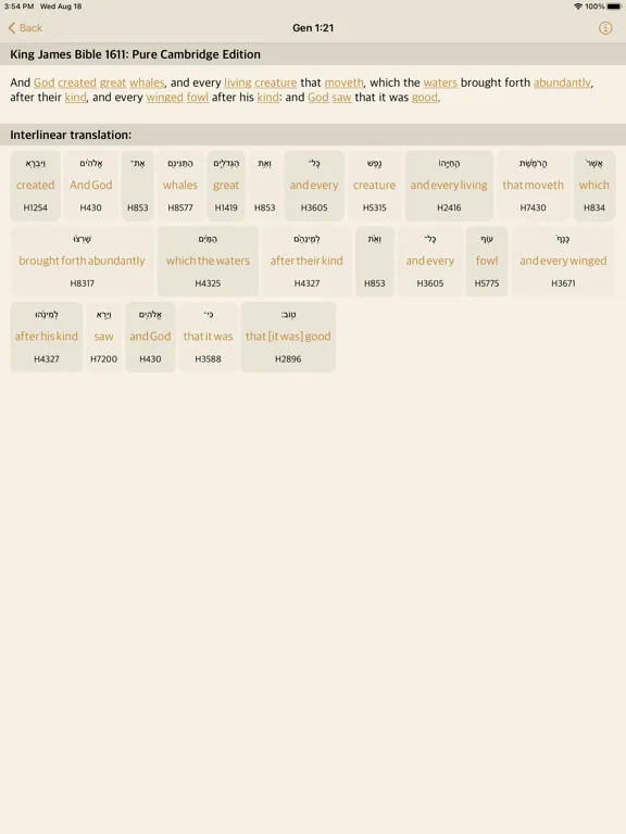 iBible - Study Bible iPad 应用截图