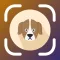 Dog AI Scanner and Identifier