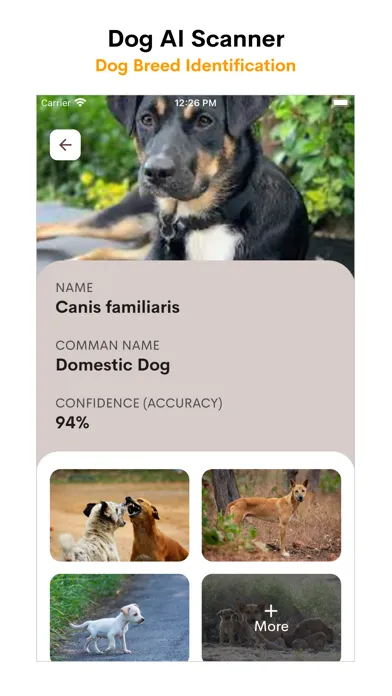 Dog AI Scanner and Identifier سکرین شاٹس