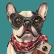 Dog Breed AI Photo Scanner Dog Breed AI Photo Scanner