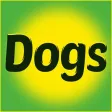 Crazy Chrarades -Dog Day Edition