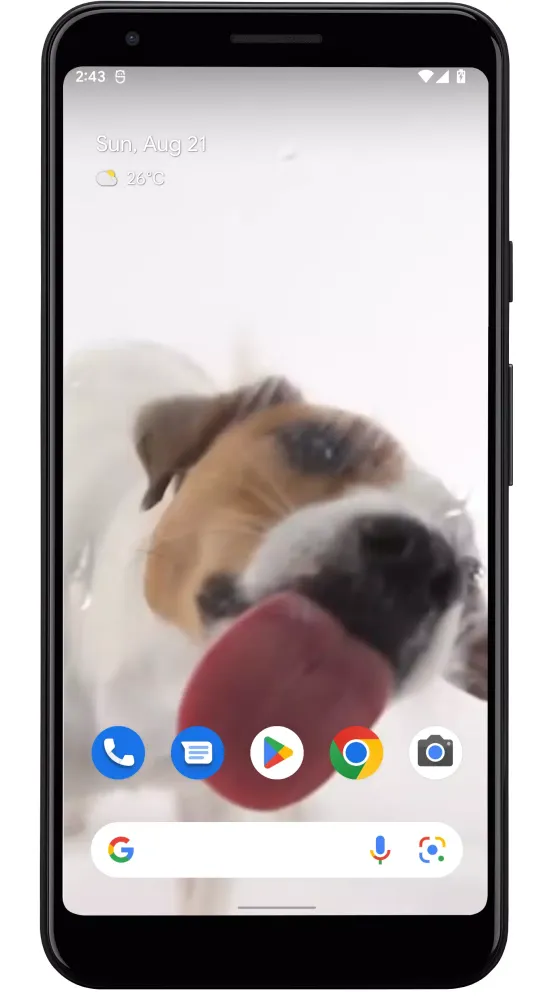 Captures d'écran de Dog Licks Screen Video Theme